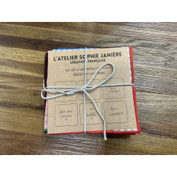 Lot de 6 serviettes de table Vichy brodées