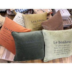 Coussin 25X25 cm velours