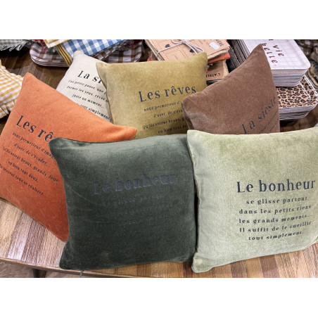 Coussin 25X25 cm velours