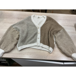 Gilet tricolore beige