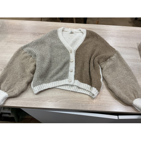 Gilet tricolore beige