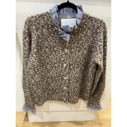 Pull gilet leopard et col victorien rayé